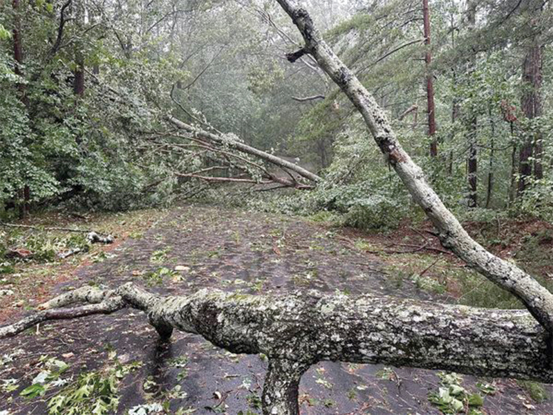 The Woodring Branch Road access to Carters Lake off Highway 282 was blocked for campers and boaters for awhile last week after turbulent storms raked Gilmer and Murray counties on the night of July 20-21.