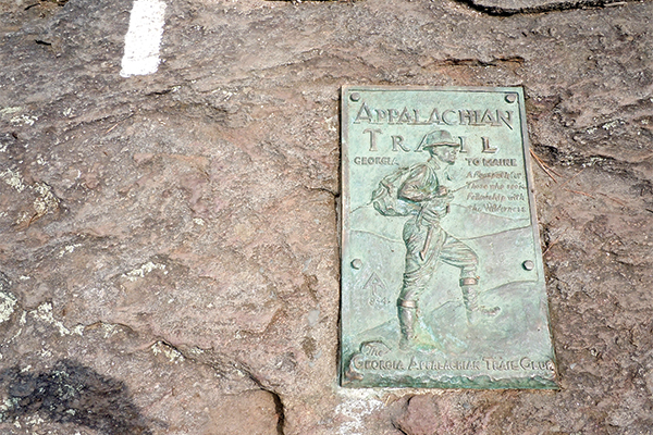 ATPlaque