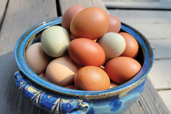 Eggs 2025