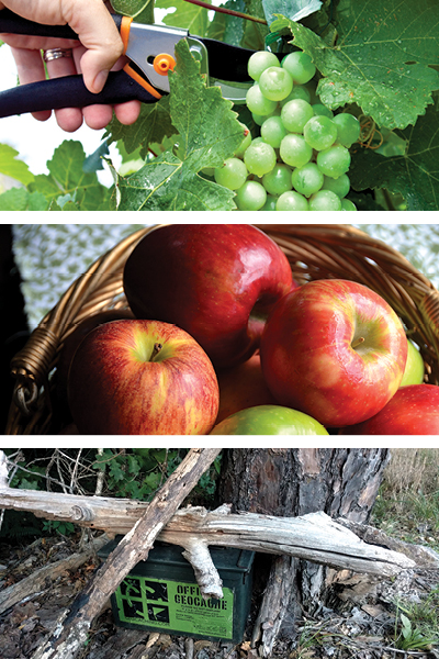 grapes apples geocaching