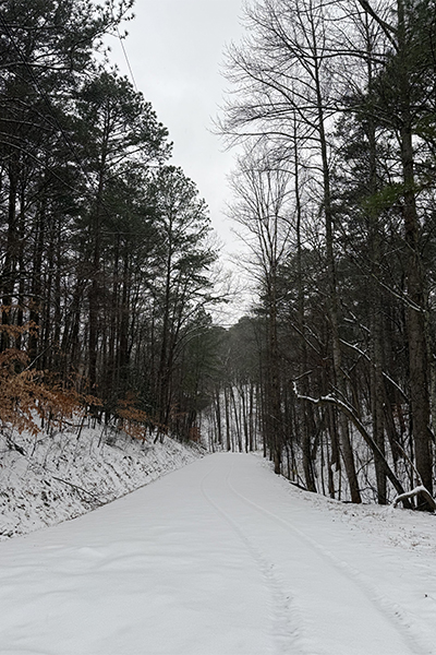 Snowyroad011525