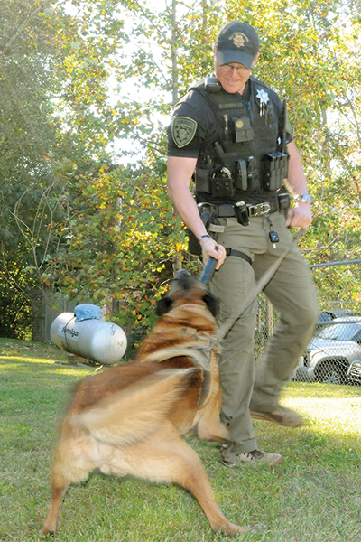 K9Novak102225