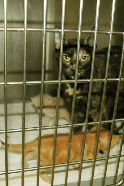 Shelter032526