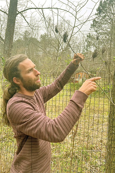 Foraging2