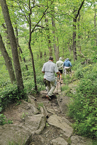SpringerHikers