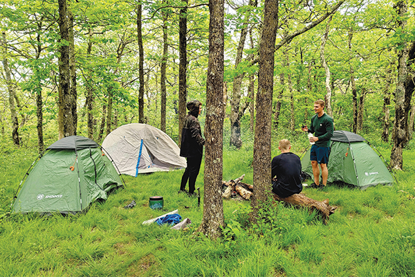 SpringerTents