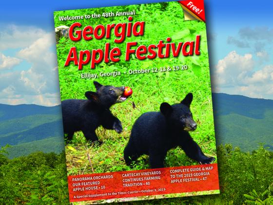2019 Apple Festival Magazine