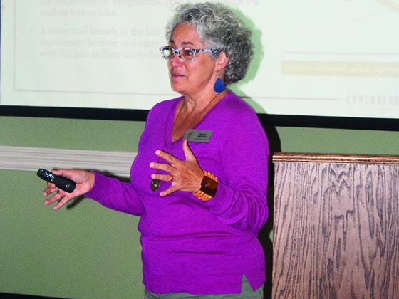 Tracie Sanchez, of the Explore Georgia Tourism Product Development Resource Team, talks about how the tourism potential for outdoor recreation in Ellijay can be increased.
