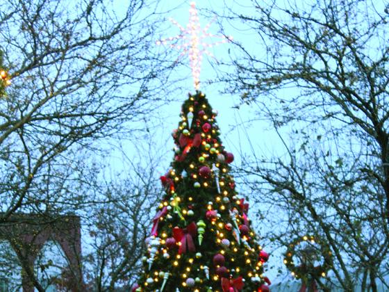 Light Up Ellijay