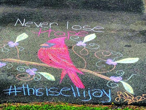 Artwork created for the Gilmer Chamber’s Chalk Ellijay campaign by Laura Wilson.
