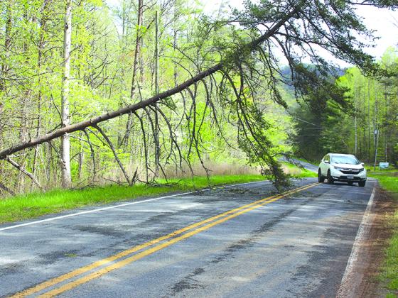 A car squeezes under a pine tree that blew down onto a utility line and caused vehicles to use one lane of traffic on Doublehead Gap Road Monday morning. Fire Chief Daniel Kauffman said damage in Gilmer County was “typical” of strong winds, with trees down in roadways, on power lines and a few on homes. “We did send a few resources to Murray County after their tornado touch down,” he said. “Our crews encountered one of the several fatalities they had.” (Photo by Mark Millican)