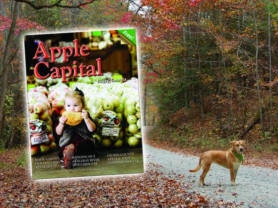 Welcome to apple country...