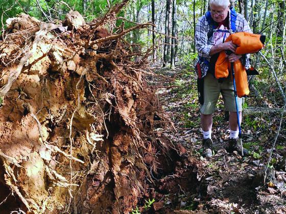 Benton MacKaye Trail Association member Frank Forehand  gets an up-close look at one of many downed trees along an 80-mile section of the hiking trail that extends through north Georgia to the Tennessee border. 