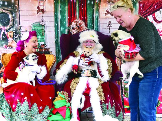 Laurie Taylor and the Vigues have their hands full with Taylor’s pugs, Morticia and Dixie, and chihuahua, Ginger.