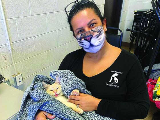 Judy Moody comforts Marshmallow, one of the 26 cats and dogs that were treated at a Jan. 15 spay-neuter clinic sponsored by Friends of the Gilmer Animal Shelter (FOGAS). 
