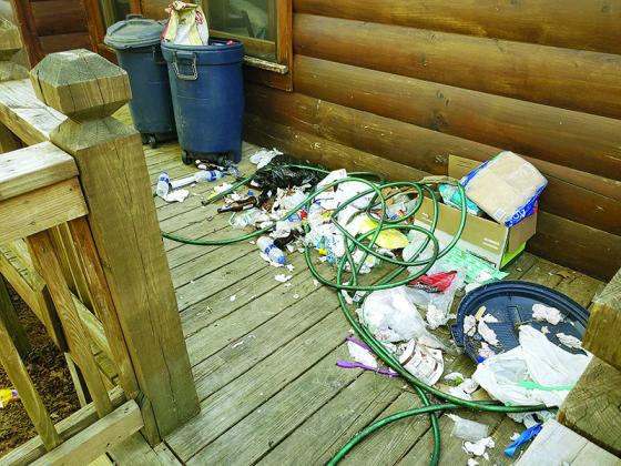 Bear accessed trash, April 2020, Cherry Log.