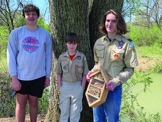 At Harrison Park, John Carter Wilson, right, works on hanging the bee hotels he made for an Eagle Scout project with friend, Mitchell Rice, left, and brother, Spencer Wilson, center.