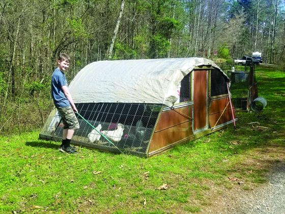At left, 12-year-old Asher Sullivan pulls a chicken tractor to a new area so his family’s laying hens can explore some fresh ground. Photos contributed by Sabrina Sullivan.