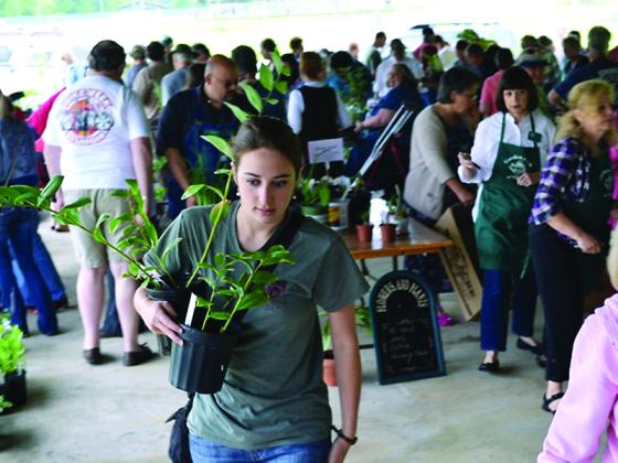 The first hour of the Garden Club of Ellijay’s annual plant sale is always hectic.