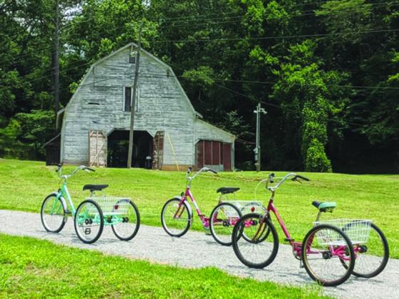 Above are some of the adult tricycles free to use as part of the Silver Spokes Loaner Program.
