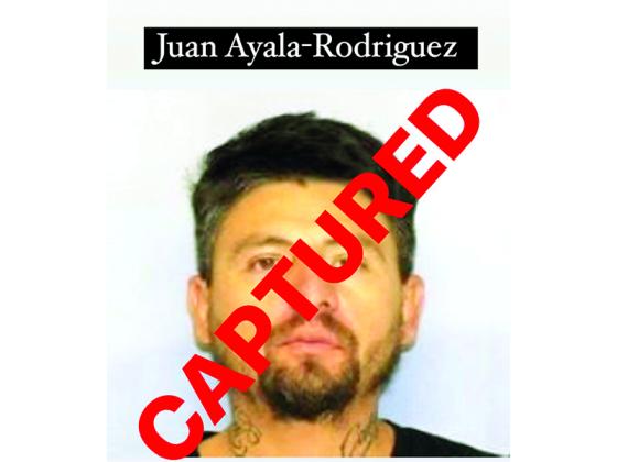 Juan Ayala-Rodriguez