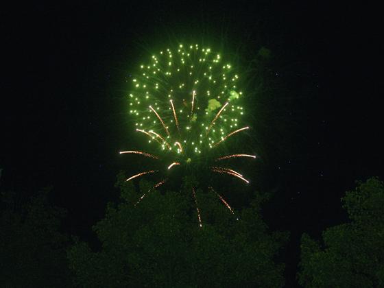 A city-sponsored fireworks display took place at dark.