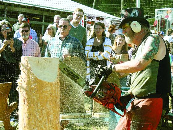 Apple Festival vendor Mal McEwen lets the sawdust fly as he entertains festivalgoers with a display of his chainsaw carving technique Saturday, Oct. 16.