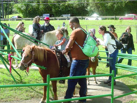 Pony rides drew smiles from many young festivalgoers.