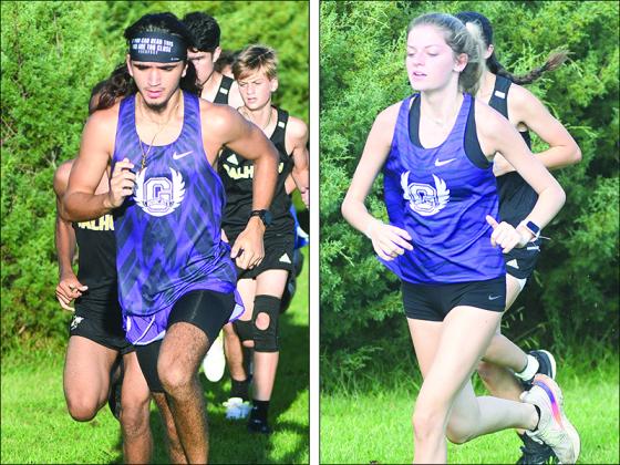 Gilmer High senior Carson Purvis and junior Madison Stanley were the top Bobcat and Lady Cat runners at last week’s region meet.