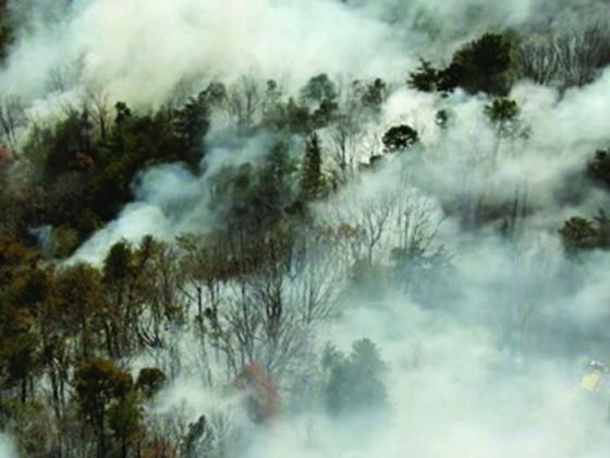 A recent fire in the Talona Mountain area spread quickly, with such factors as low humidity and wind. 