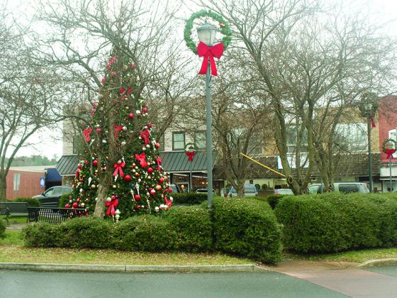 The downtown Ellijay roundabout’s curbing and shrubbery could see changes from future improvements being discussed by the Ellijay City Council. 