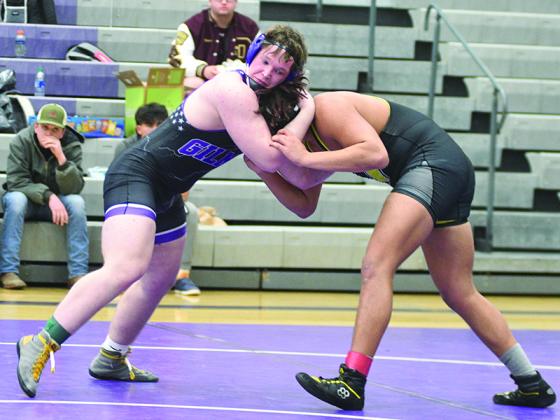 Owen Moss 195 pounds Area champion and sectional runner-up