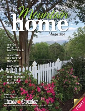 Mountain Home Magazine
