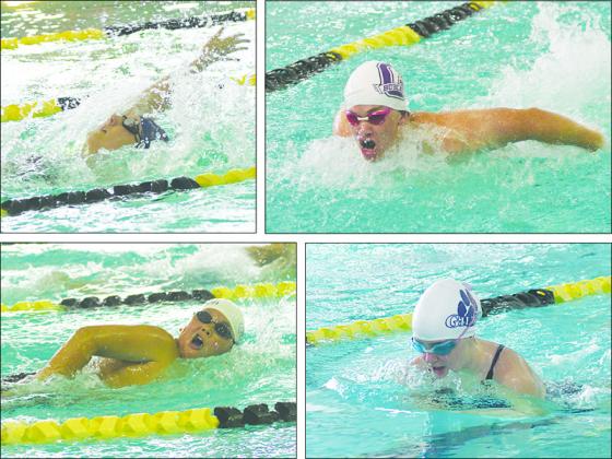 Gilmer swimmers attended the district meet last Saturday in Calhoun, and all 10 qualified for state, which includes clockwise from top left, Elizabeth Kucera, Law Lykins, Esther Bowman and Jacob Watson. 