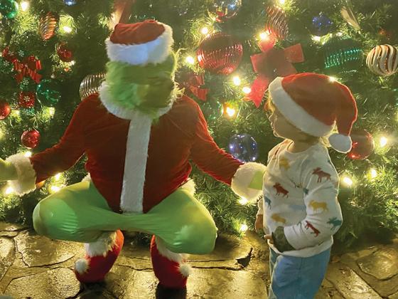 Light Up Ellijay was filled with the lights and wonder of Christmas