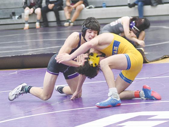 Junior Carson Farist (above) and senior Hannah Mayo (below) both earned wins last Saturday to help Gilmer High qualify for the boys and girls Class 3A state duals. Farist recently eclipsed 100 wins, and his career record at GHS currently stands at 103-7. 