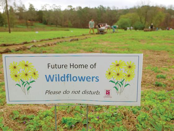 Volunteers team up to make a rock-lined pathway through a new wildflower meadow at Harrison Park. The flowers should be in bloom this summer.