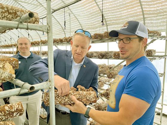 Howard Berk, right, gives District 7 Rep. Johnny Chastain, left, an up-close look at one of the logs used for growing Ellijay Mushrooms during a state visit to the local mushroom grower last week.