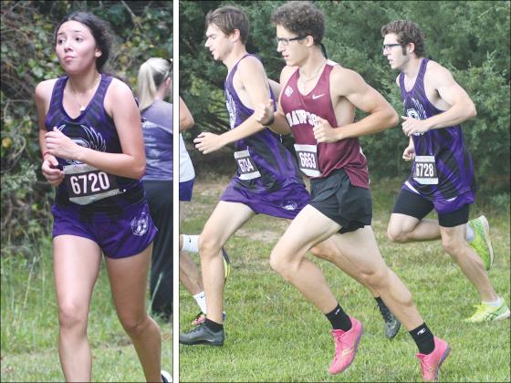 From left in purple are, Gilmer High cross-country runners Estephany Becerra, Talyn Mesner and Michael Little during last Tuesday’s North Georgia Championships .