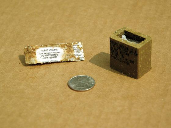Pictured are Raboral V-RG baits that are distributed in an airdrop program led by the USDA Wildlife Services Division.  The coated packets, at left, are used for airplane and helicopter baiting. Fishmeal polymer bait, like the one at right, is used for ground and vehicle baiting. (USDA Photo)
