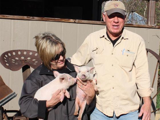 Frank and Suzy Wright take a rare break from work to have a farm photo taken with a couple of their little porkers.