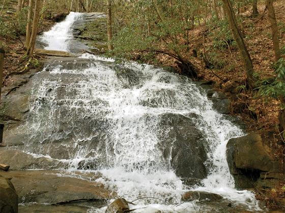 Fall Branch Falls is among the many scenic wonders on the almost 82-mile section of the Benton MacKaye Trail that winds through north Georgia. (Photo by Joy Forehand)