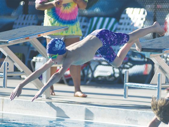 Bobcat Grayson Patterson dives into the pool for the 25-yard freestyle.