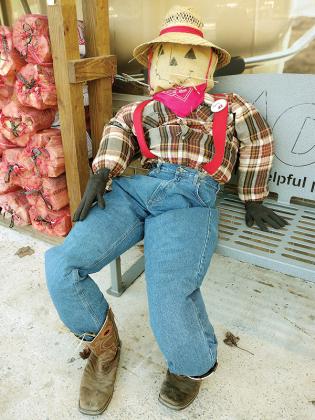 A farmer at Ace Hardware