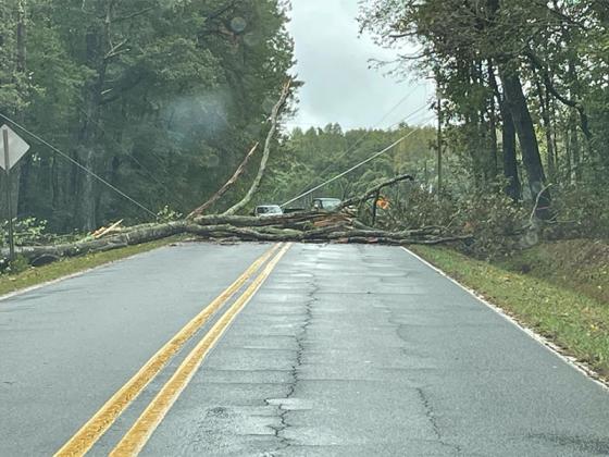Tree down across all lanes involving power lines at the beginning of Big Creek Road just off Hwy. 52 East. (Gilmer Sheriff’s office photo)