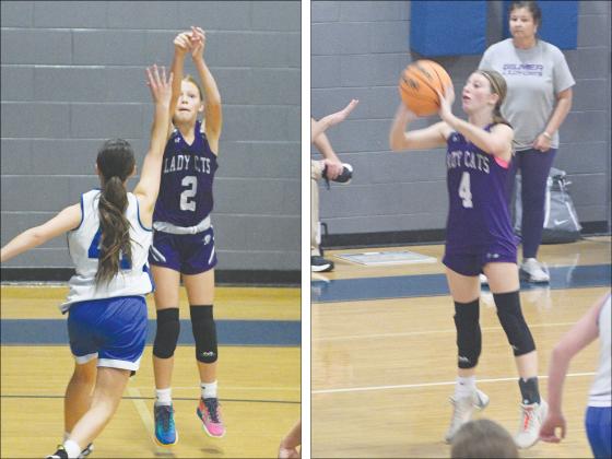 Lady Cats Kenzie Farmer (2) and Lola Howard (4) scored four and 10 points, respectively, versus Pickens.