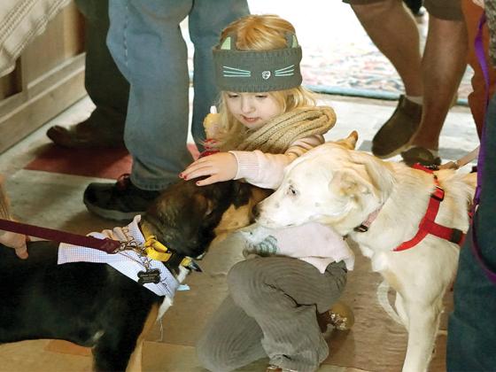 Kids at the event enjoyed games and spending time petting puppies. 