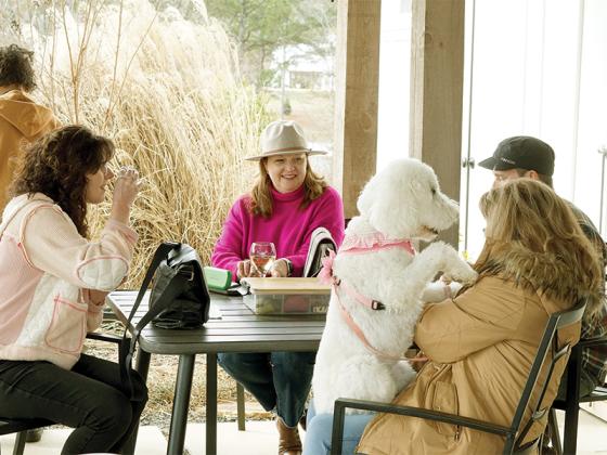 Ellijay residents, including Mia the poodle, attended the charity event at Grapes and Ladders on Sunday.