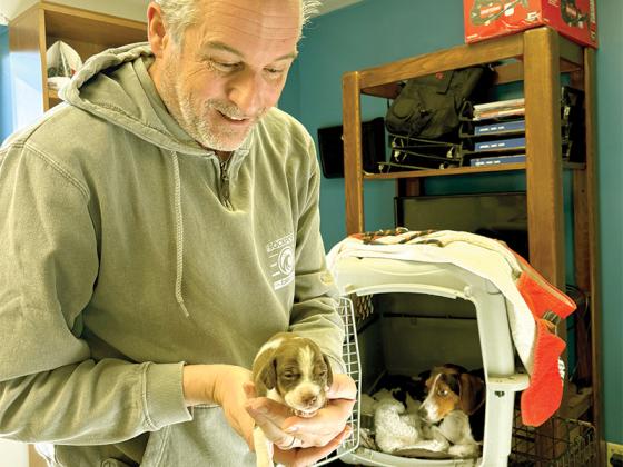 Clyde Wolfe-Borders, a volunteer at the Gilmer County Animal Shelter, holds one of six puppies that just arrived with their mom. He received a Facebook message that their owner moved and left them behind.
