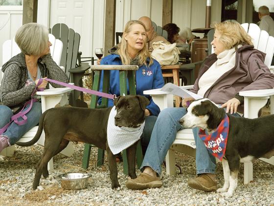 Volunteers enjoy the “Canines and Wines” event, with dogs ready for adoption.